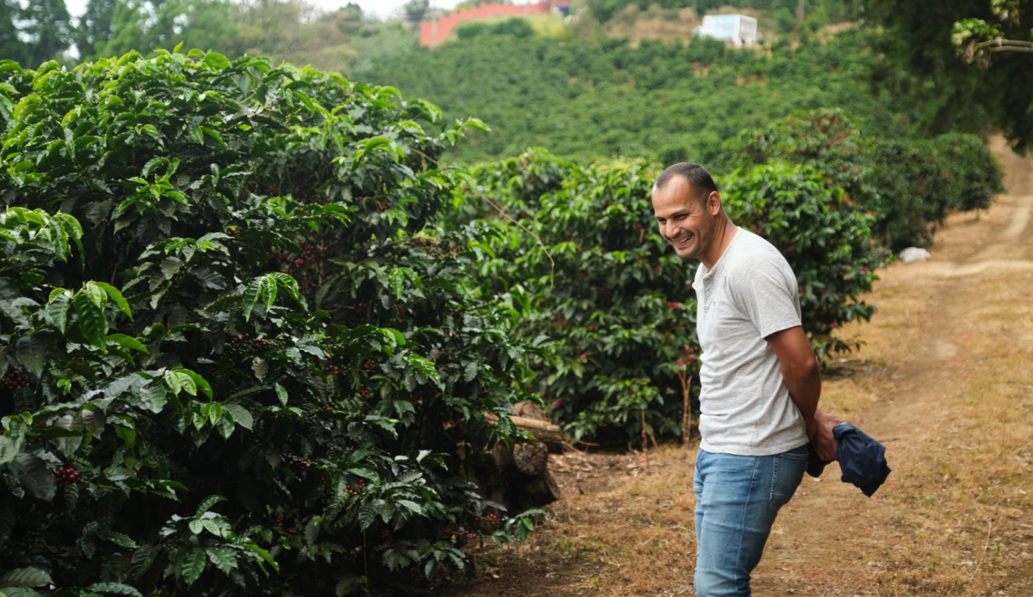 Cafe Imports sells and ships green coffee around the globe to our international offices and international warehouses.