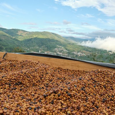 RINCÓN DEL CAFÉ PATRIMAR NEGRO ACEITADO - Abba Import Export