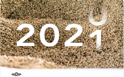 An Update on Sourcing Travel in the Time of COVID-19