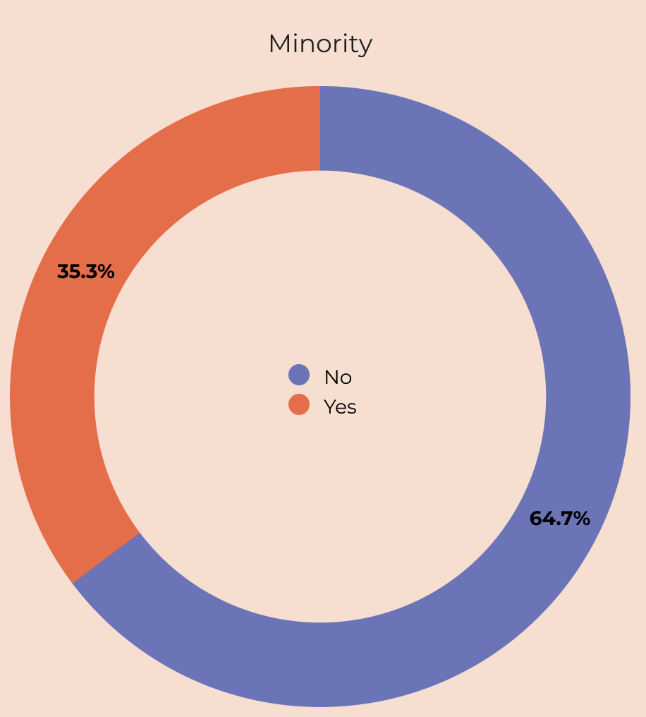 2025_ProgressReport_Minority