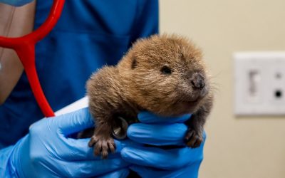 Progress Projects 2025