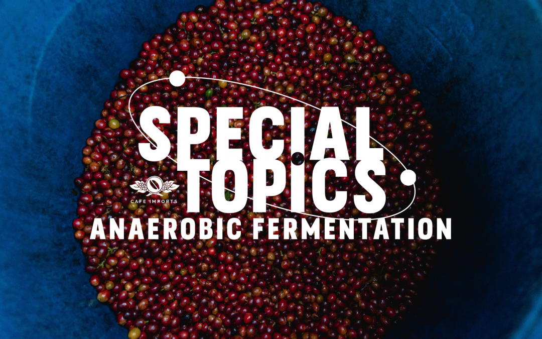 Watch our web-hosted discussion Special Topics: Anaerobic Fermentation!