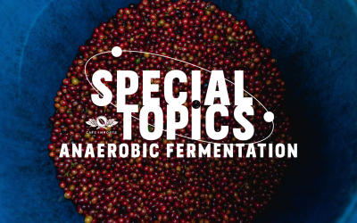 Watch our web-hosted discussion Special Topics: Anaerobic Fermentation!