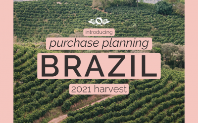 Brazil Purchase Planning