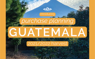 Guatemala Purchase Planning