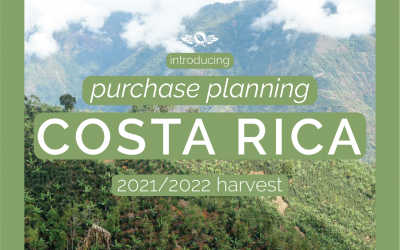 Costa Rica Purchase Planning