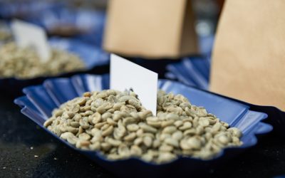 How Coffee Makes the “Grade,” and What Green-Coffee Grades Mean to You
