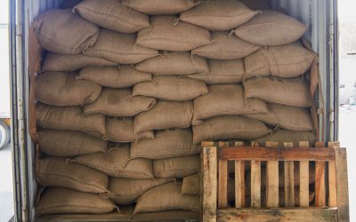 Shipping Delays: Will There or Won’t There?