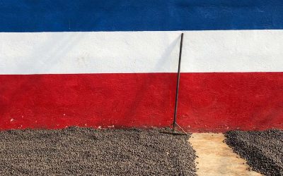 Harvest Report: Costa Rica 2019