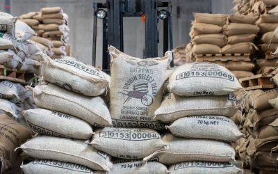 The Decaf Dreams Are Made Of