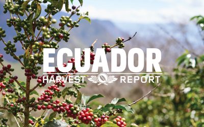 Harvest + Trip Report: Ecuador 2019