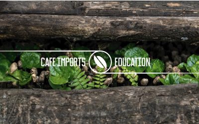 Introducing our Education Team