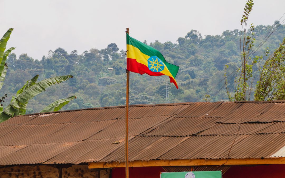 About 4 years ago we noticed . . .an international mystery