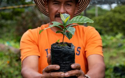 Partnership Over Profit: Supporting Your Relationship with Los Naranjos Association