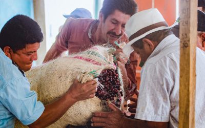 What happens when an experimental farm and a micromill work hand in hand for five years?