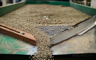 6/2/20 – Status Update: We Are Open