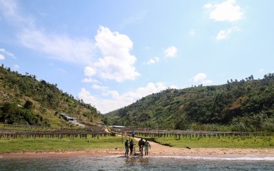 Fall in Love with the Special Flavours and Story of Rwandan Coffee with Us