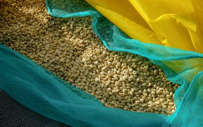 We’ve reduced the price on lots from Tega & Tula in Ethiopia, and here’s why.