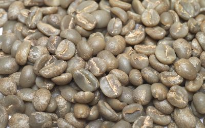 Storing Your Green Coffee: Best Practices