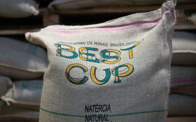 The Rest of the Best Cup