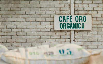 A Series about Certifications, part 1 – Organics 