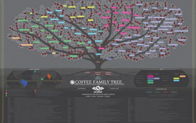 The Cafe Imports Coffee Family Tree, fourth edition