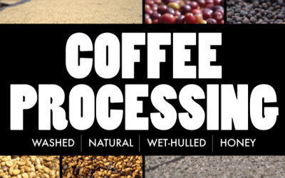 Now Streaming: An Educational Coffee Processing Video Series