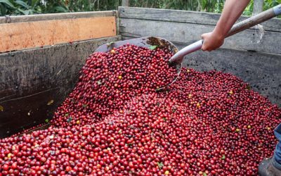 Origin Report: Costa Rica 2018