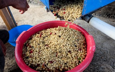 Open Door: Costa Rica 2018 Dates Announced