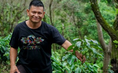 Chalate 2017 – The Project