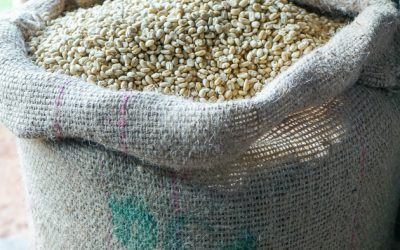 Origin Report: Ethiopia 2018