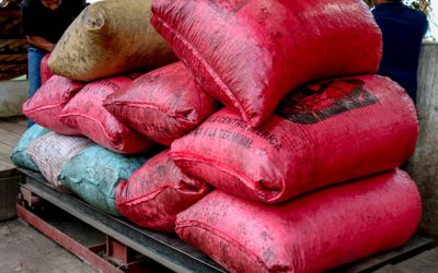 Origin Report: Mexico + Guatemala 2018