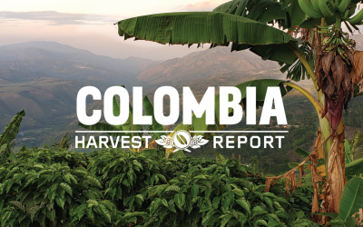 Harvest Report: Colombia 2020, from Farmers to Friends
