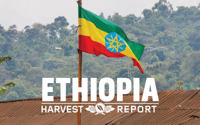 Harvest Report: Ethiopia 2020