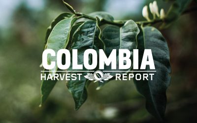 Harvest Report: Colombia 2020
