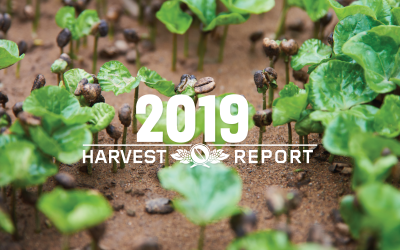 A Year-End Reflection on Our Harvest Reports: What Do You Want to Read in 2020?