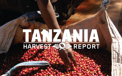 Harvest Report: Tanzania 2019