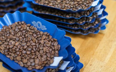 Holiday Ordering & Closures