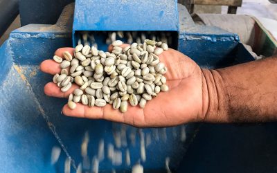 Origin Report: Indonesia 2018