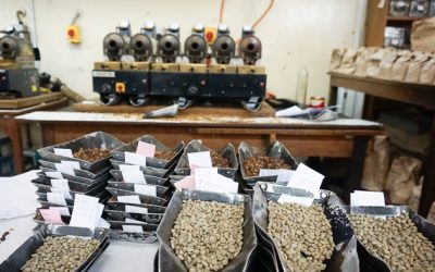 Origin Report: Kenya 2018