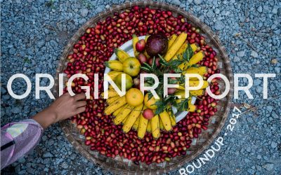 Origin Report Roundup 2017