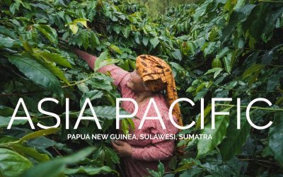 Origin Report: Asia Pacific (PNG, Sulawesi, and Sumatra) 2017