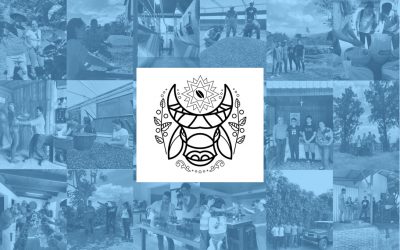 Oxcart Coffee, Season 1: ¡Gracias Por Visitarnos!