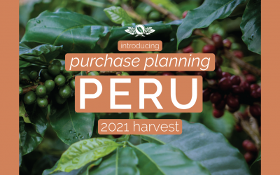 Peru Purchase Planning