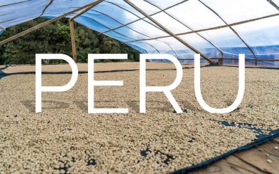 Origin Report: Peru 2017