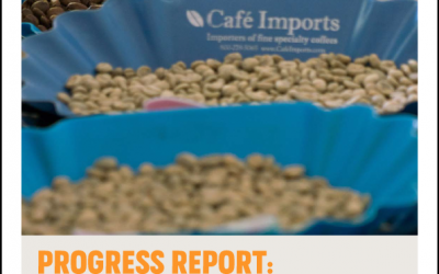 Progress Report: Development 2017