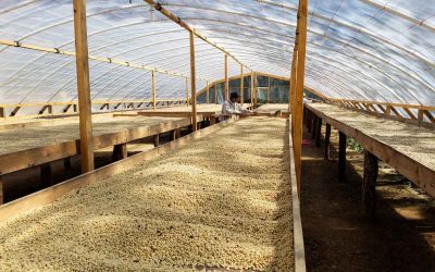 Perfect Strangers: A Sourcing Story