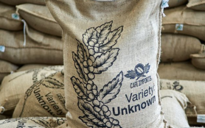 Previously, on “Variety: Unknown…”