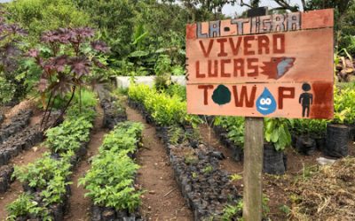 A Dispatch from Honduras about Cafe Imports’ Partnership with Trees, Water & People