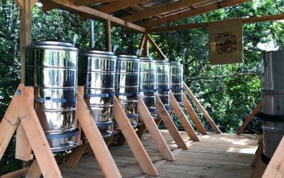 What’s “Anaerobic Fermentation” and Why Is It So Popular All of a Sudden?